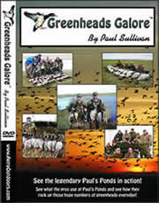 Greeenheads Galore DVD- See hunting up close and personal! Informative too.